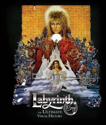 Book cover for Labyrinth