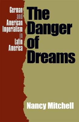 Book cover for The Danger of Dreams