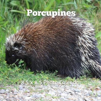 Book cover for Porcupines 8.5 X 8.5 Calendar September 2021 -December 2022