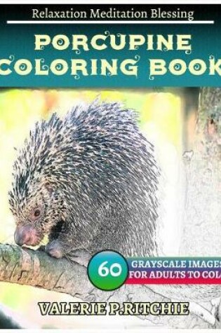 Cover of Porcupine Coloring Books