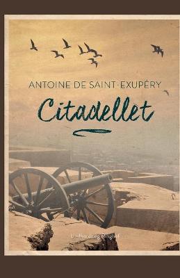 Book cover for Citadellet