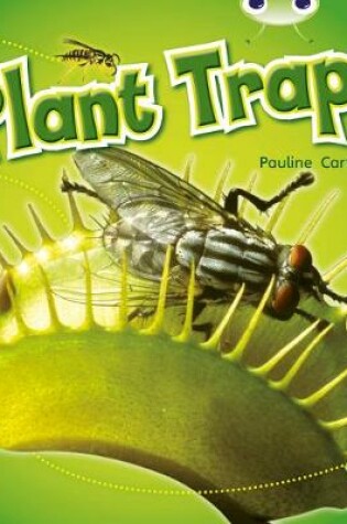 Cover of Bug Club Non-fiction Blue (KS1) B/1B Plant Traps 6-pack