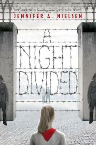 Cover of Night Divided
