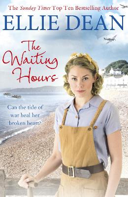 Book cover for The Waiting Hours
