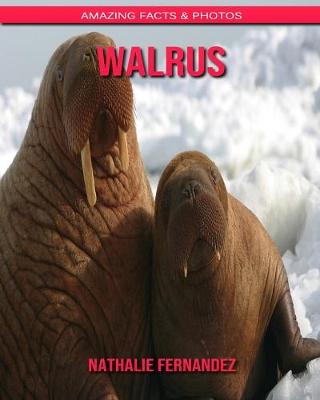 Book cover for Walrus