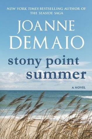 Cover of Stony Point Summer