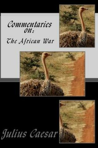 Cover of Commentaries on
