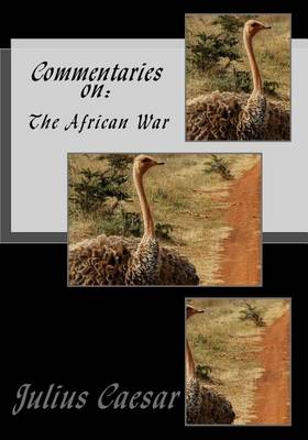 Book cover for Commentaries on