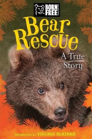 Cover of Born Free: Bear Rescue