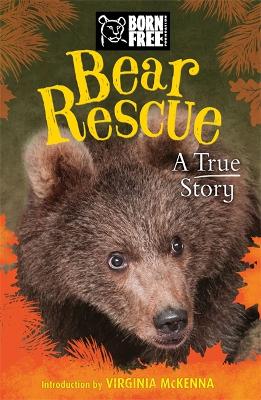 Book cover for Born Free: Bear Rescue
