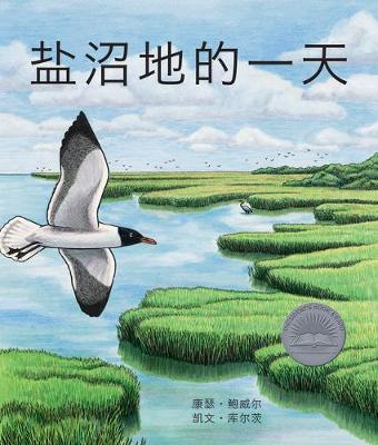 Book cover for 盐沼地的一天 (A Day in the Salt Marsh) [Chinese Edition]