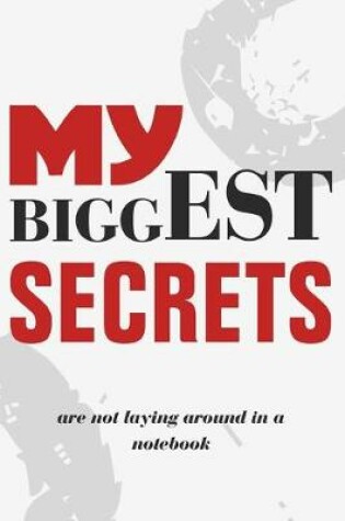 Cover of My biggest secrets are not laying around in a notebook