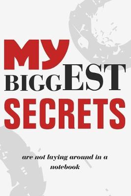 Book cover for My biggest secrets are not laying around in a notebook