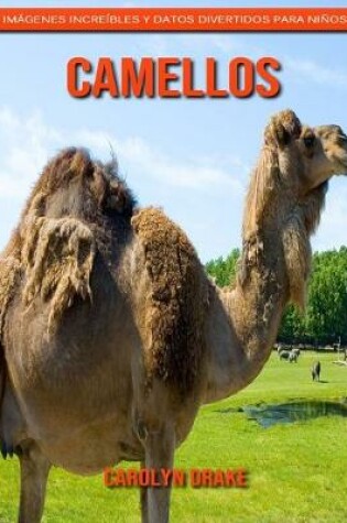 Cover of Camellos