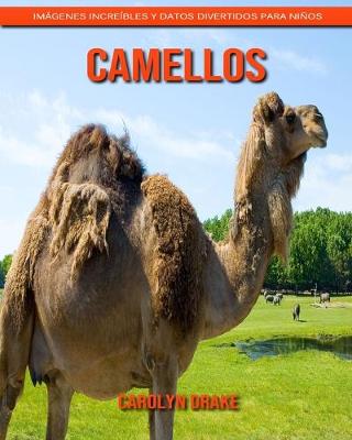 Book cover for Camellos