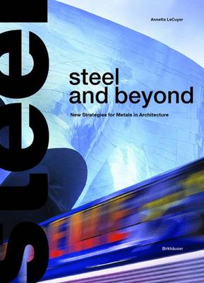 Book cover for Steel and beyond
