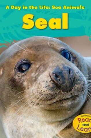 Cover of Day in the Life Sea Animals Seal