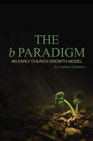 Cover of b Paradigm