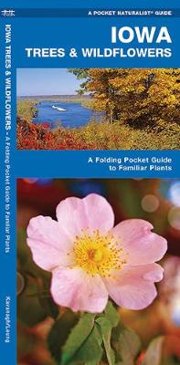 Cover of Iowa Trees & Wildflowers