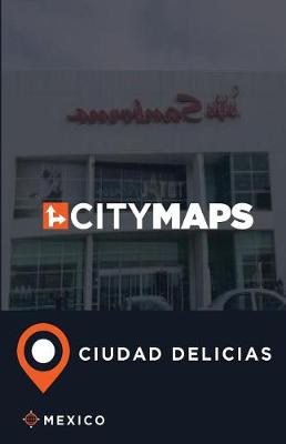 Book cover for City Maps Ciudad Delicias Mexico