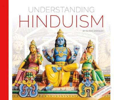 Book cover for Understanding Hinduism