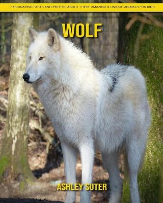 Book cover for Wolf