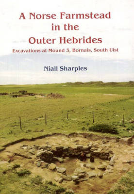 Book cover for A Norse Farmstead in the Outer Hebrides