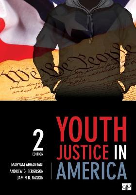 Book cover for Youth Justice in America