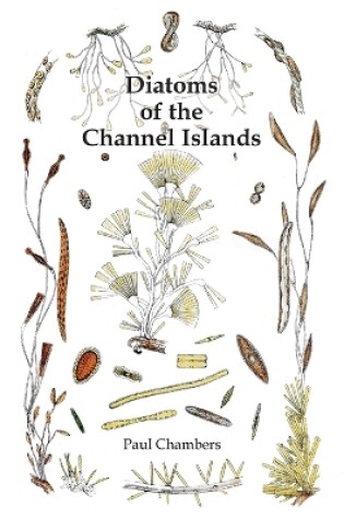 Cover of Diatoms of the Channel Islands