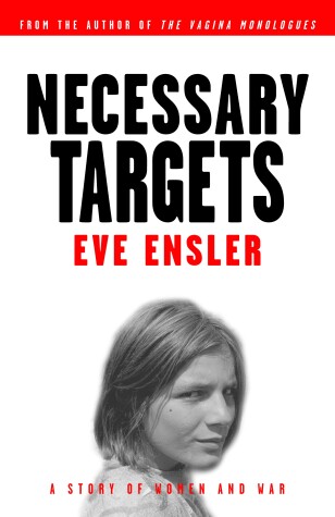 Book cover for Necessary Targets