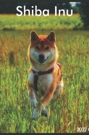 Cover of Shiba Inu 2022 Calendar