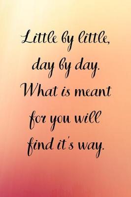 Book cover for Little by little, day by day. What is meant for you will find it's way.