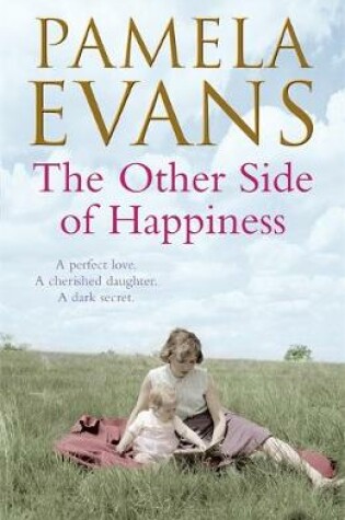 Cover of The Other Side of Happiness
