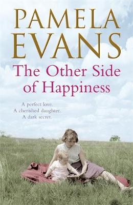 Book cover for The Other Side of Happiness