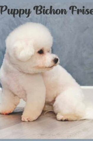 Cover of Bichon Frise Puppy 2022 Calendar