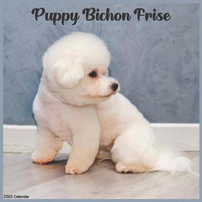 Book cover for Bichon Frise Puppy 2022 Calendar