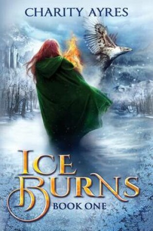 Cover of Ice Burns