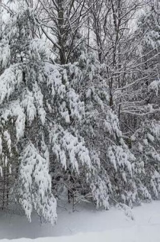 Cover of Winter Journal Breathtaking Snow Photo