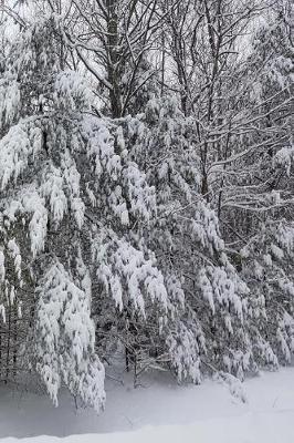 Book cover for Winter Journal Breathtaking Snow Photo