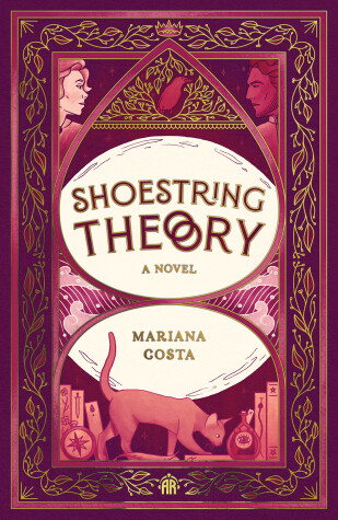 Book cover for Shoestring Theory