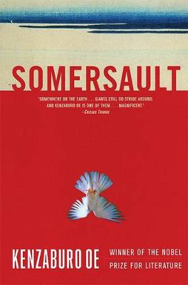 Book cover for Somersault