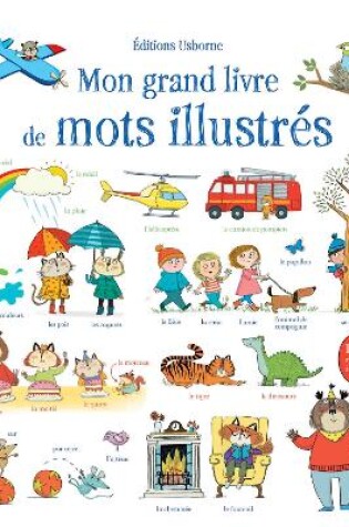 Cover of Mon grand livre de mots illustrés