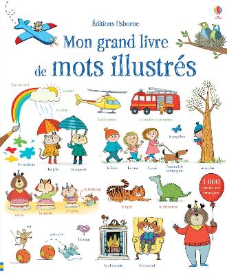 Book cover for Mon grand livre de mots illustrés