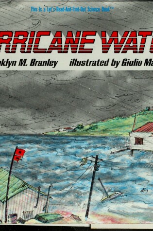 Cover of Hurricane Watch