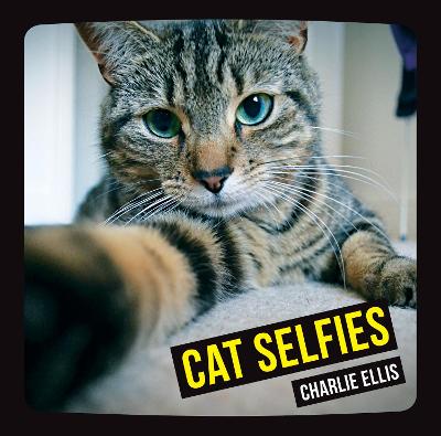 Book cover for Cat Selfies