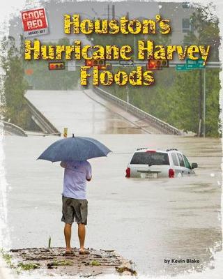 Book cover for Houston's Hurricane Harvey Floods