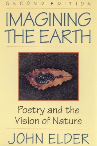 Cover of Imagining the Earth