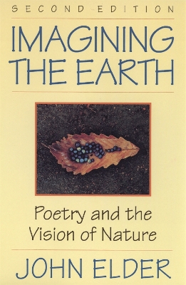 Book cover for Imagining the Earth