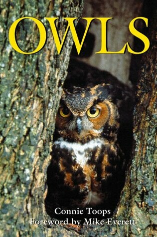 Cover of Owls