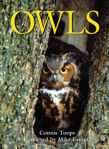 Book cover for Owls